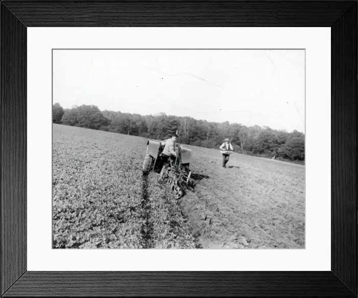Framed Print : Ploughing at Wardrops Farm - October 1938 Framed Print : Ploughing at Wardrops Farm - October 1938