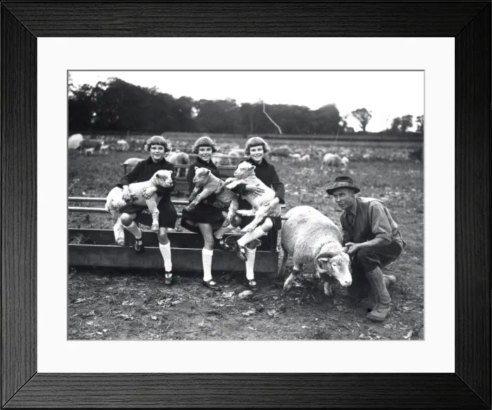 Framed Print : Triplets - November 1938 Framed Print : Triplets - November 1938
