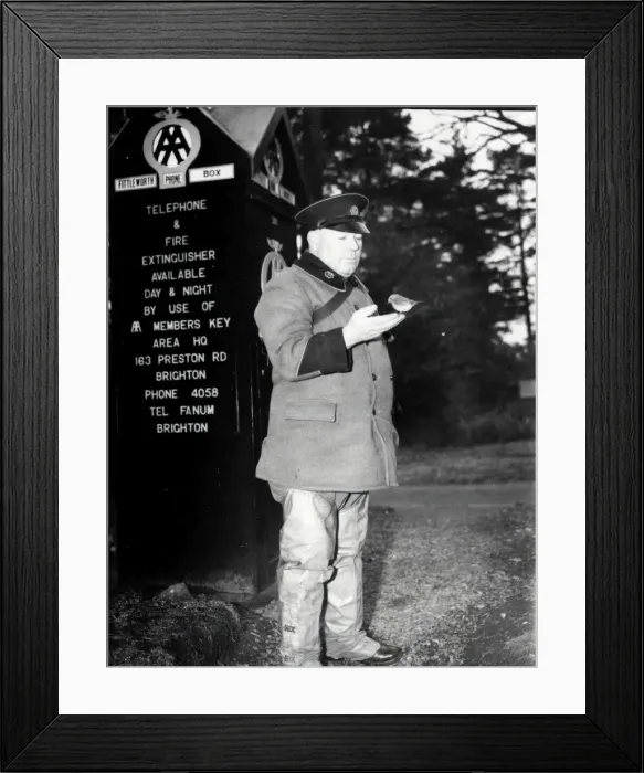 Framed Print : a Scout with Robin - January 1939
