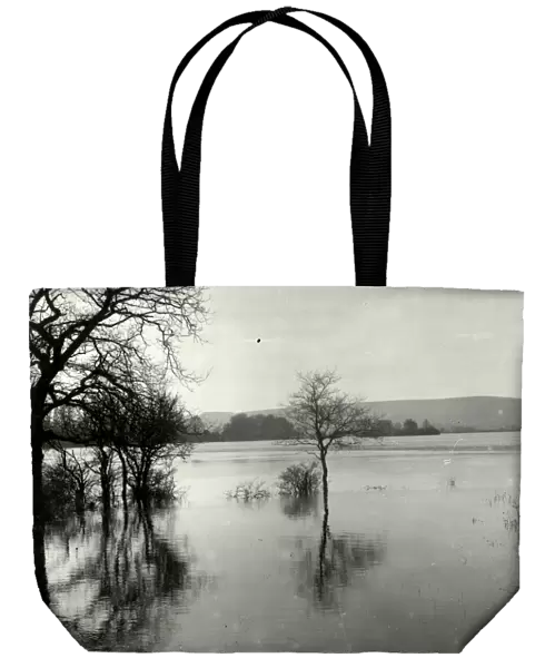 Floods at Coldwaltham - February 1939