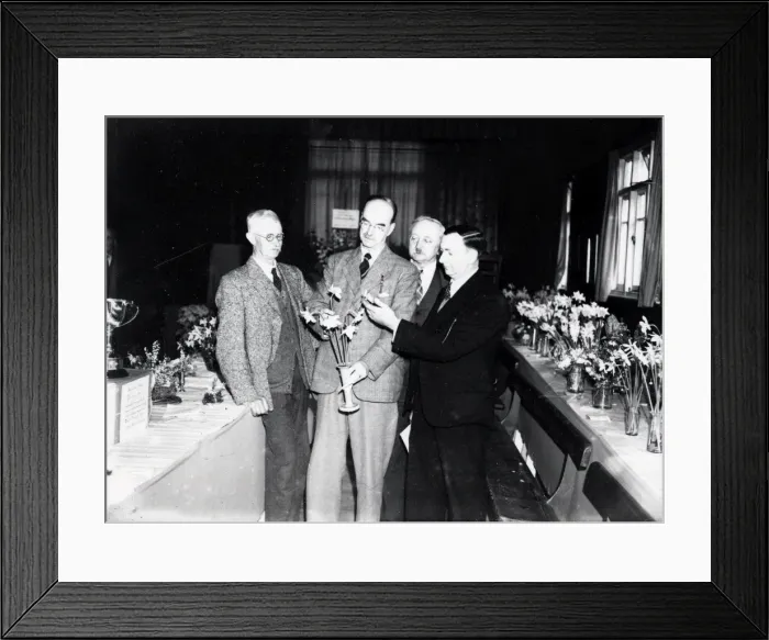 Framed Print : Fittleworth Bulb Show - 1939 Framed Print : Fittleworth Bulb Show - 1939