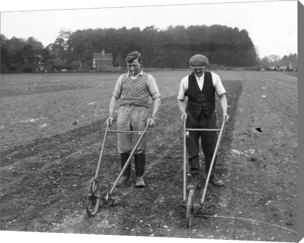Hoeing at Burton - about 1939