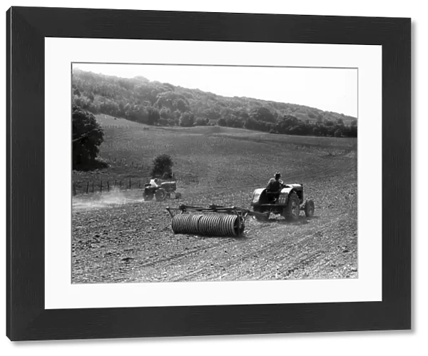 Cultivating downland under the