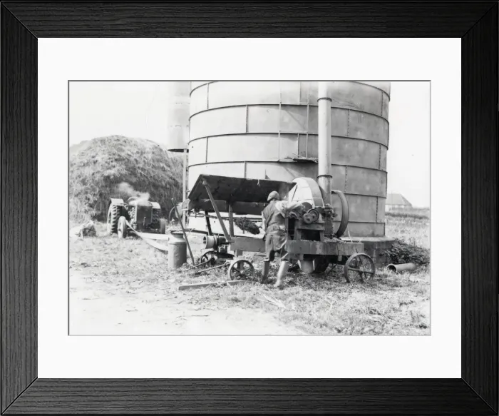 Framed Print : Silo filling with Maize - September 1939 Framed Print : Silo filling with Maize - September 1939
