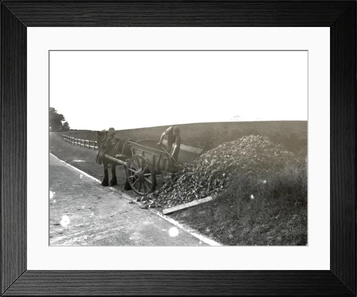Framed Print : Unloading - October 1939 Framed Print : Unloading - October 1939