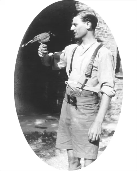 RSR 2  /  6th Battalion, Soldier with bird, India
