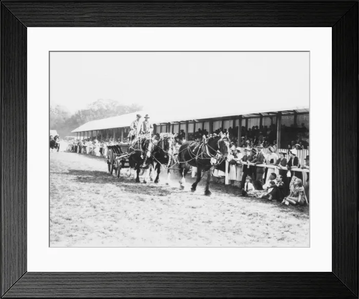 Framed Print : Parade of horseteams and hay wagons at the Sussex Show, 1938 Framed Print : Parade of horseteams and hay wagons at the Sussex Show, 1938