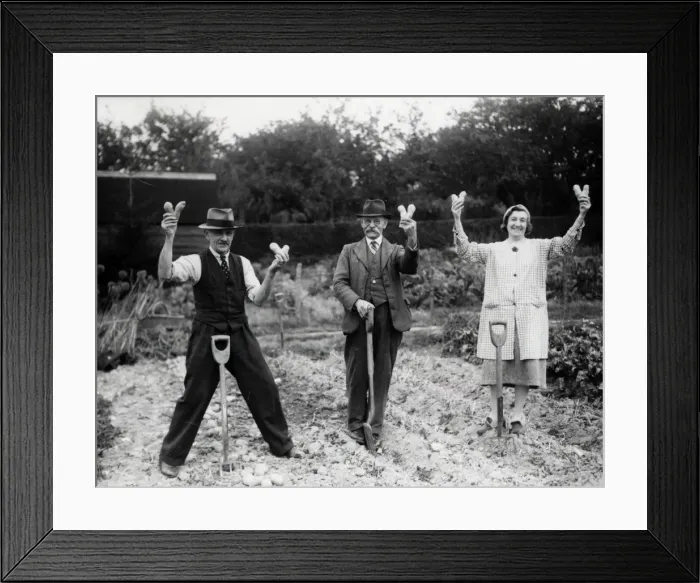 Framed Print : V for Victory Potatoes - September 1941 Framed Print : V for Victory Potatoes - September 1941