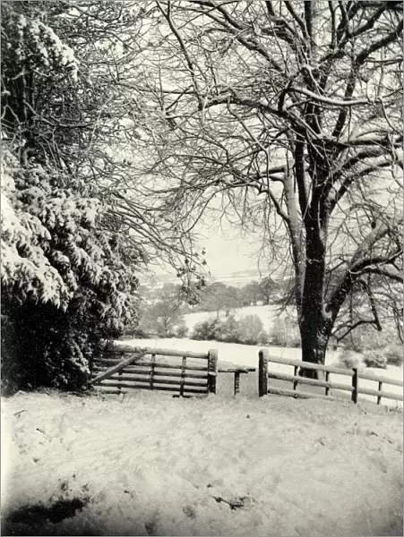 Snow Scene near Petworth - January 1942