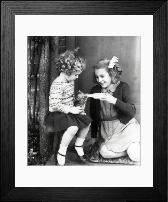 Framed Print : Bottle feeding a kitten - 1943 Framed Print : Bottle feeding a kitten - 1943