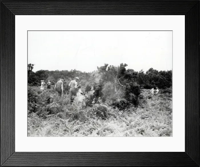 Framed Print : Cowdray Estate Land Reclamation - July 1943 Framed Print : Cowdray Estate Land Reclamation - July 1943