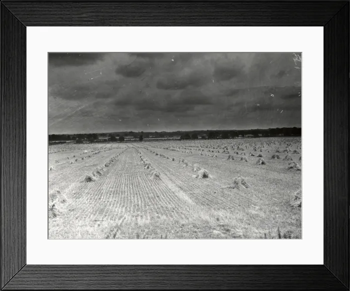 Framed Print : Farmland at Harvest time - August 1943 Framed Print : Farmland at Harvest time - August 1943