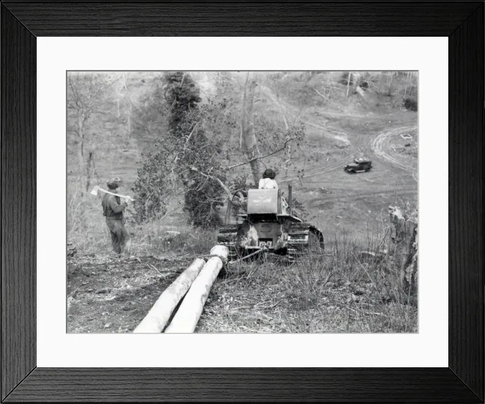 Framed Print : Forestry Work at Lavington - February 1944 Framed Print : Forestry Work at Lavington - February 1944