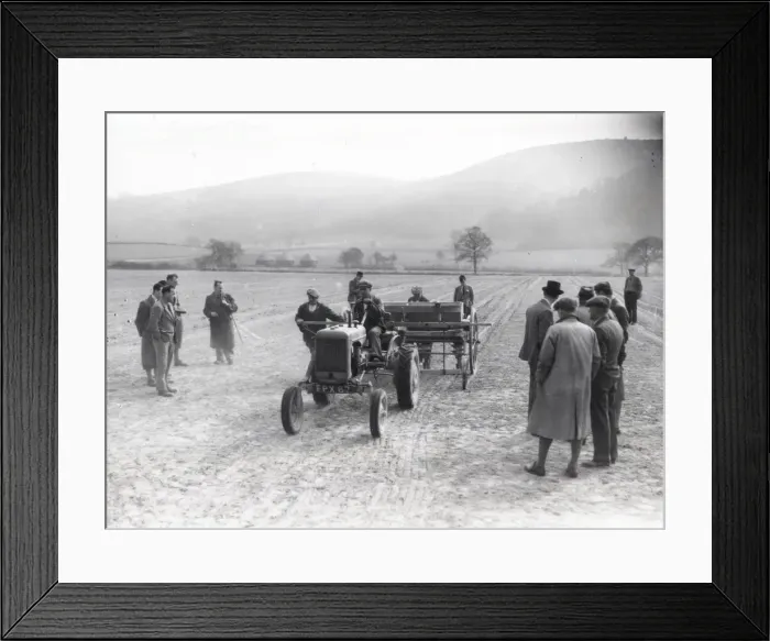 Framed Print : Herbage Seed Production - about 1944 Framed Print : Herbage Seed Production - about 1944
