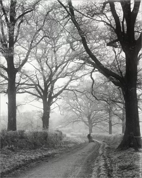 Winter Scene at Ashington - December 1944