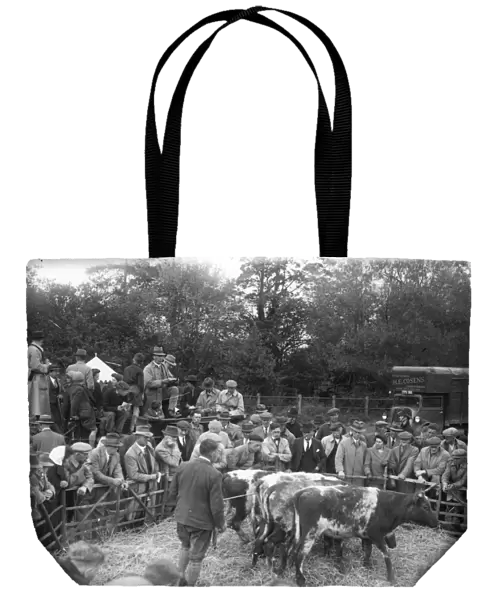 Cattle at Loxwood Fair - 3 May 1945