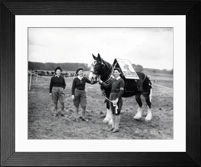 Framed Print : Cowdray Horse Show - 19 April 1946 Framed Print : Cowdray Horse Show - 19 April 1946