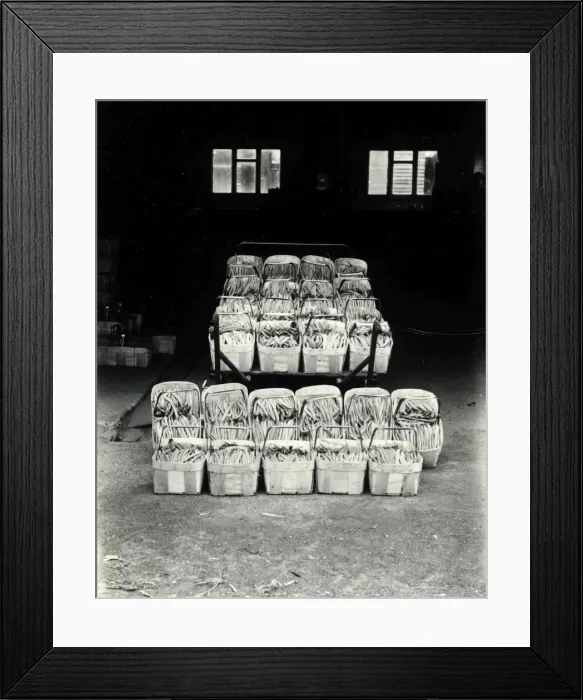 Framed Print : Ready for market - 13 May 1946 Framed Print : Ready for market - 13 May 1946