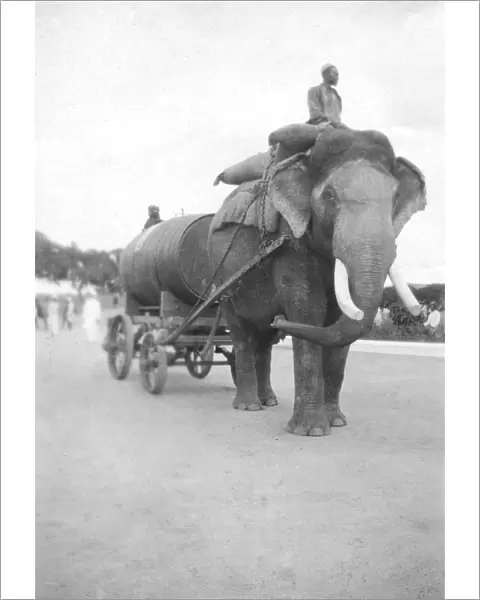 RSR 2  /  6th Battalion, Water cart, Palace grounds, Mysore