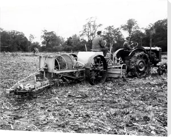 John Deere Tractor & Beet Harvester at Warnford - October 1946