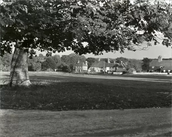 Lurgashall Village Green - November 1946