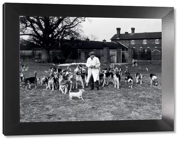 Leconfield Hounds - 3 March 1947