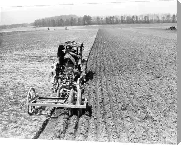Ploughing at Petworth - April 1947