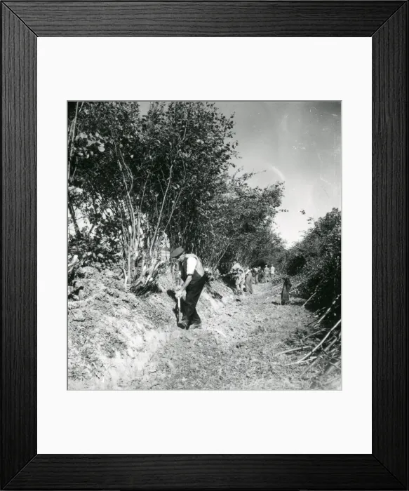 Framed Print : Hedging and Ditching Competition - 4 October 1947 Framed Print : Hedging and Ditching Competition - 4 October 1947