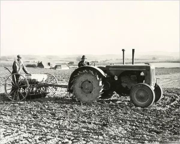 Tares Sowing for Sheep feed at Petworth - 27 March 1948