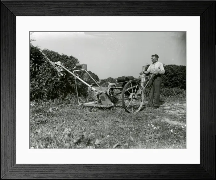 Framed Print : Baker Hedge Trimmer - August 1948 Framed Print : Baker Hedge Trimmer - August 1948
