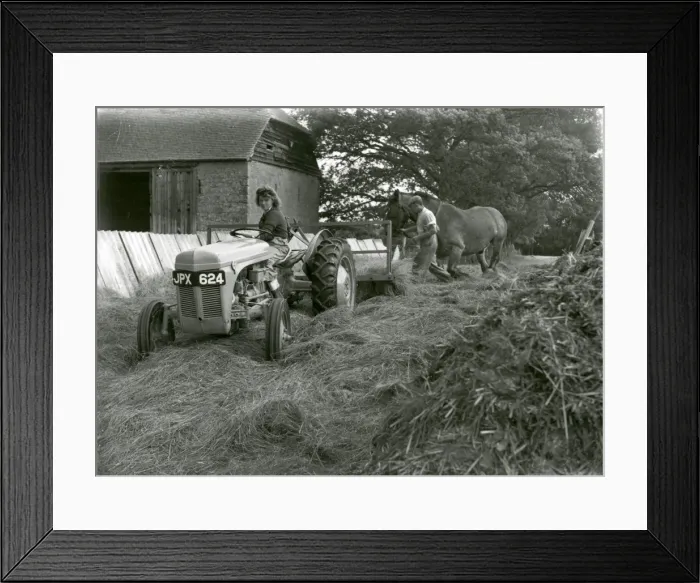 Framed Print : Silage making at Brinsbury Farm, Adversane - July 1948 Framed Print : Silage making at Brinsbury Farm, Adversane - July 1948