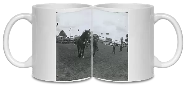 A horse at the Sussex County Show at Chichester june 1933
