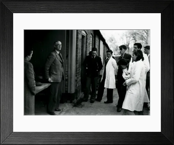 Framed Print : Midhurst Young Farmers Club test for Royal Show representatives Framed Print : Midhurst Young Farmers Club test for Royal Show representatives