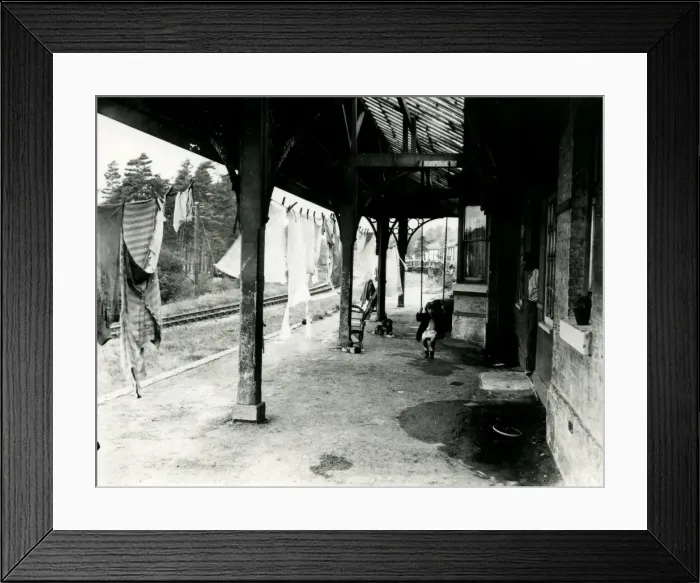 Framed Print : Rambling Reporter, Midhurst Framed Print : Rambling Reporter, Midhurst