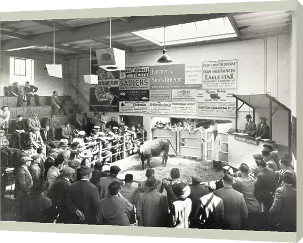 Chichester Cattle Market, c1962