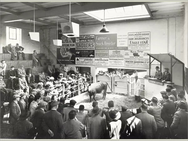 Chichester Cattle Market, c1962