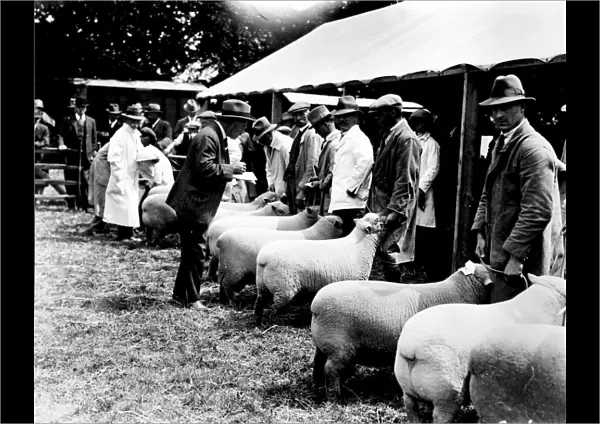 Sussex County Show at Horsham, 20 June 1928