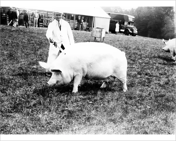 Sussex Show - Cowdray, 1938