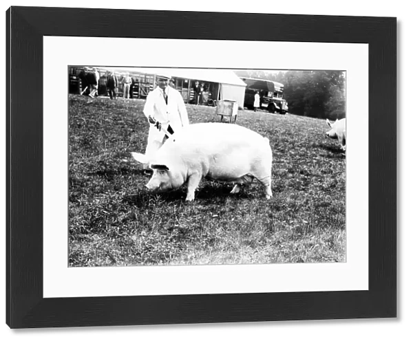 Sussex Show - Cowdray, 1938
