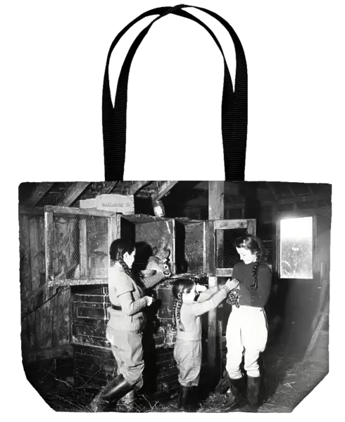 3 girls feeding rabbits, December 1941