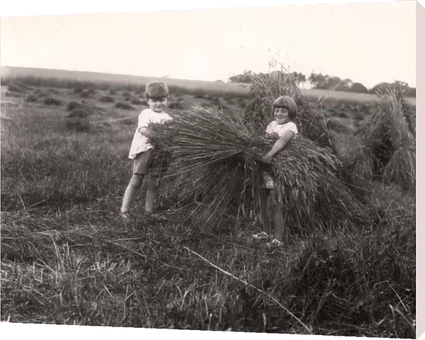 Harvesting, 1929