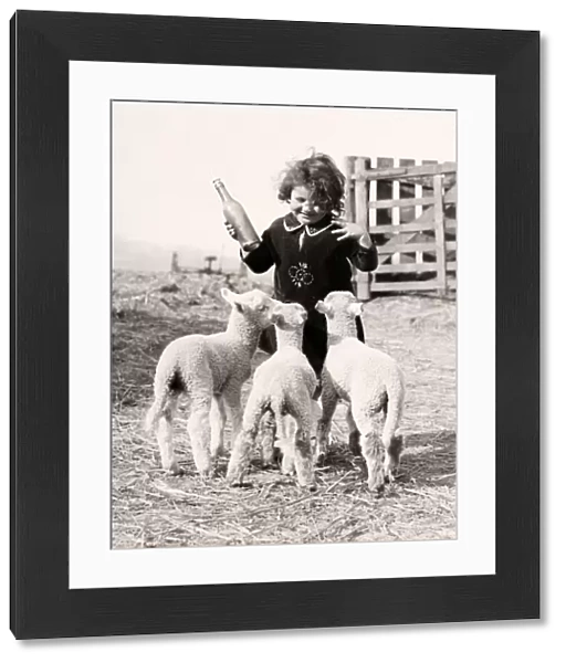 Lambs at Key Fox, March 1933