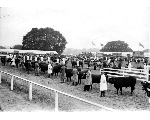 Sussex County Show at Chichester, June 1933