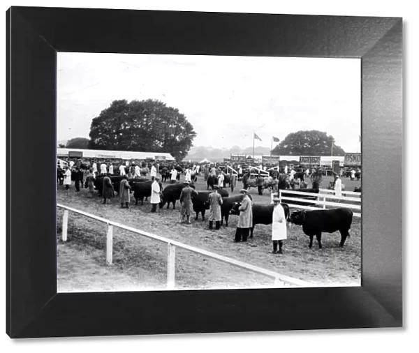 Sussex County Show at Chichester, June 1933
