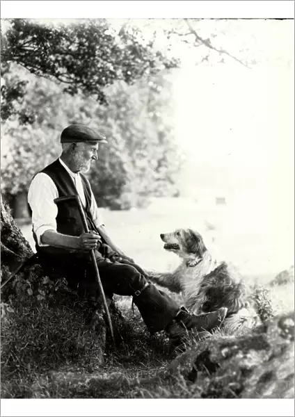 Shepherd of Goodwood with crook and sheep dog, July 1933