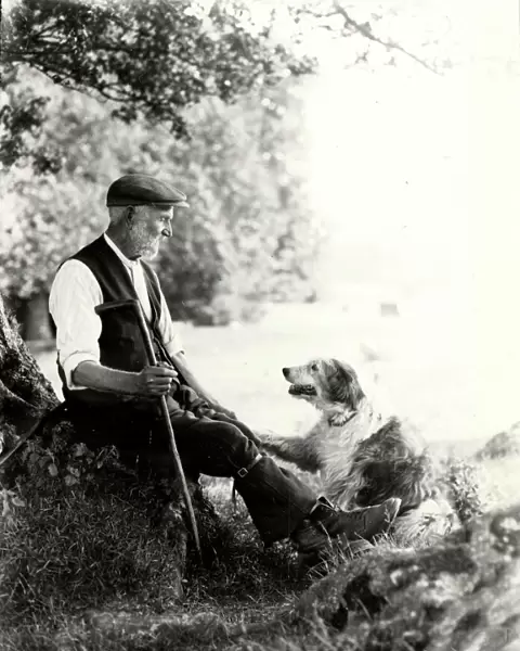 Shepherd of Goodwood with crook and sheep dog, July 1933