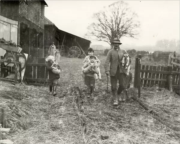 Lambing in Crosss Farm, Steyning, 1932