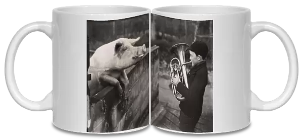 Boy playing musical instrument to pig at Mare Hill Farm, 1953