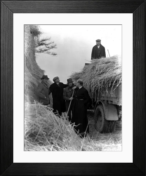 Framed Print : Haymaking during Graffham Evangelist Week Framed Print : Haymaking during Graffham Evangelist Week
