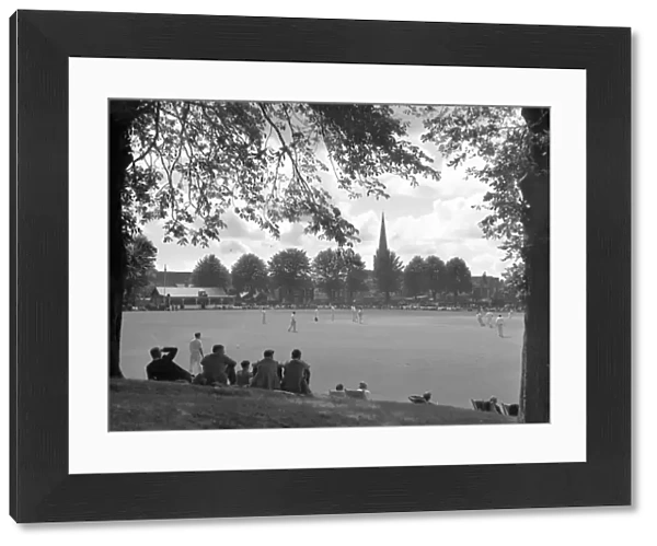 Summers day scene of cricket in Priory Park, Chichester